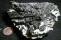 Actinolite mineral specimen for sale
